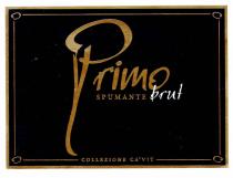 Primo SPUMANTE brut COLLEZIONE CA'VIT