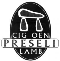 CIG OEN PRESELI LAMB