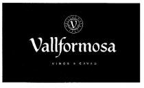 V Vallformosa VINOS & CAVAS