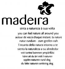 madeira sinta a natureza à sua volta you can feel nature all around you autour de vos à chaque instant: la nature natur rundum-zum greifen nah l'incanto della natura intorno a te sienta la naturaleza a su alrededor