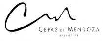 CM CEPAS DE MENDOZA argentina