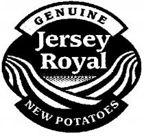 GENUINE Jersey Royal NEW POTATOES