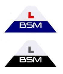 L BSM