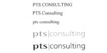 PTS Consulting