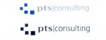 pts consulting