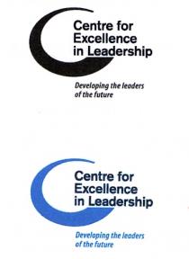 Centre for Excellence in Leadership Developing the leaders of the future