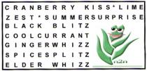 CRANBERRY KISS* LIME ZEST* SUMMERSURPRISE BLACK BLITZ COOLCURRANT GINGERWHIZZ SPICESPLITZ ELDER WHIZZ n2n