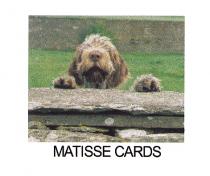 MATISSE CARDS