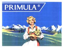 PRIMULA