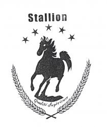 Stallion Qualité Supérieure