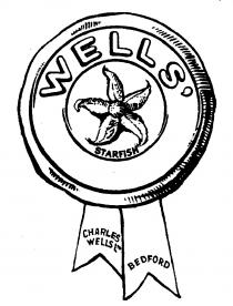 WELLS' STARFISH