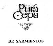 Pura Cepa DE SARMIENTOS