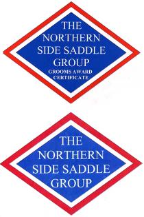 THE NORTHERN SIDE SADDLE GROUP