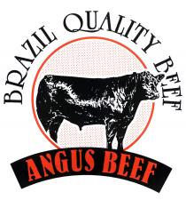 BRAZIL QUALITY BEEF ANGUS BEEF