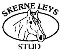 SKERNE LEYS STUD