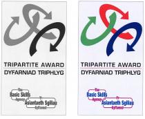 TRIPARTITE AWARD DYFARNIAD TRIPHLYG The Basic Skills Agency Yr Asiantaeth Sgiliau Sylfaenol