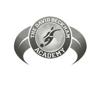 THE DAVID BECKHAM ACADEMY