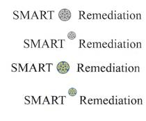 SMART Remediation