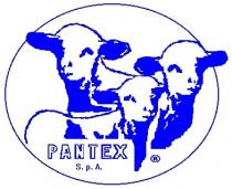 PANTEX S.p.A.