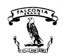 FALCONIA BRAND VIRTUTE NON VERBIS