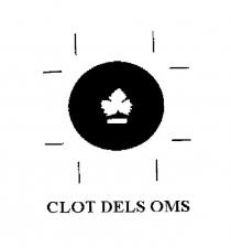 CLOT DELS OMS