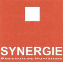 SYNERGIE Ressources Humaines