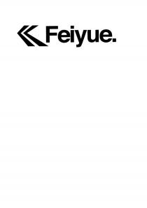 Feiyue.