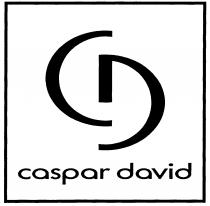 caspar david