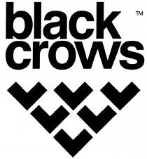 black crows