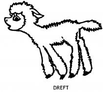 DREFT