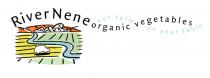 River Nene organic vegetables our farm on your table