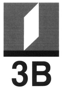 3B