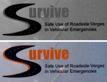 Survive Safe Use of Roadside Verges in Vehicular Emergencies