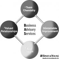 Business Advisory Services Team Chemistry Sustainable Improvement Real Insight Valued Relationships ERNST & YOUNG Quality In Everything We Do