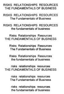 RISKS RELATIONSHIPS RESOURCES THE FUNDAMENTALS OF BUSINESS