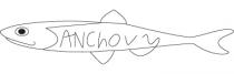 ANChovy