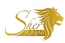 Sher PUNJAB