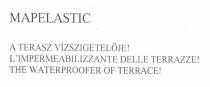 MAPELASTIC A TERASZ VÍZSZIGETELÖJE! L'IMPERMEABILIZZANTE DELLE TERRAZZE! THE WATERPROOFER OF TERRACE!