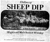 Oldbury SHEEP DIP OLDBURY ON SEVERN CIRCA 1900 Highland Malt Scotch Whisky