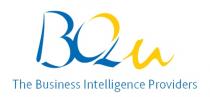 BQu The Business Intelligence Providers