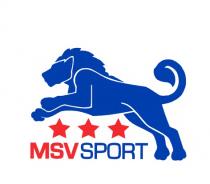 MSV SPORT