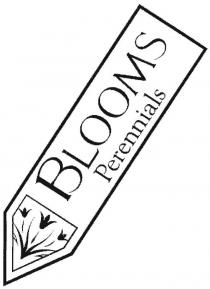 BLOOMS Perennials