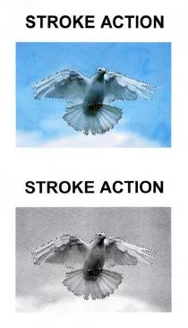 STROKE ACTION