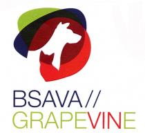 BSAVA//GRAPEVINE