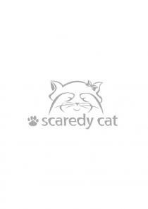 Scaredy Cat