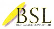 BSL BUSINESS SYNCHRONICITY LTD