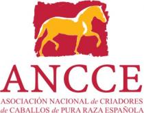 ANCCE ASOCIACIÓN NACIONAL de CRIADORES de CABALLOS de PURA RAZA ESPAÑOLA