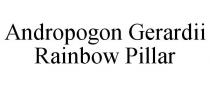 ANDROPOGON GERARDII RAINBOW PILLAR