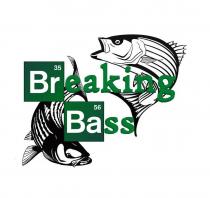 BREAKING BASS 35 56