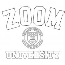 ZOOM UNIVERSITY SOCIALIS REMOTUS EST. 2020 + 20 :-(